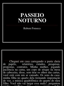 Passeio Noturno do meu salve salve Rubem Fonseca contos de terror